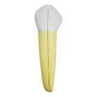 Nasco MG21502 Lower Canine Tooth Model, 2 Parts - Front View