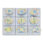 Nasco MG29719 Mitosis Model, 10,000x Enlarged, 9 Parts