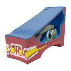 Nasco MG29946 Organ of Corti Model, 350x Enlarged, 5 Parts, Left Angle View