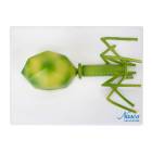 Nasco MG4617 Bacteriophage Anatomy Model, Enlarged - Angle 1