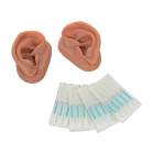 Acupuncture Ear Set for 10 Students