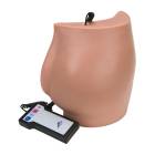 3B Scientific P57 Buttock Injection Simulator