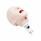 Airway Management Intubation Head for CPRLilly PRO
