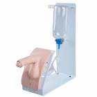 Catheterization Simulator Basic - Male