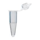 Globe Scientific PCR-02D 0.2 mL Individual PCR Tube with Cap - Dome Cap, Clear