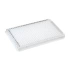 Globe Scientific PCR-384-ROC 384-Well PCR Plate with A24/P24 Two Notch Design - Clear