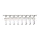 Globe Scientific PCR-STR-01F 0.1 mL 8-Strip Low Profile PCR Tube with Separate Flat Cap Strip - Natural