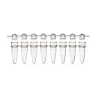 Globe Scientific PCR-STR-02D 0.2 mL 8-Strip PCR Tube with Separate Cap Strip - Dome Cap