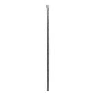 Reina Imaging Easy Reader™ Radiopaque Ruler