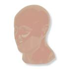RSD Head Phantom with Cadaver Bones, Opaque - Light Skin