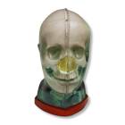 RSD RS-MMH Multi-Modality Fusion Head Phantom