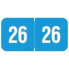 2026 Year Labels for Ringbook - Reynolds & Reynolds Compatible RY3R Series - Size 3/4" H x 1 1/2" W
