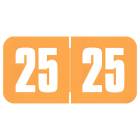 2025 Year Labels for Ringbook - Safeguard Compatible SG3Y Series - Size 3/4" H x 1 1/2" W