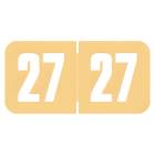 2027 Year Labels - Safeguard Compatible SG3Y Series - Size 3/4" H x 1 1/2" W (Ringbook Pack of 270)