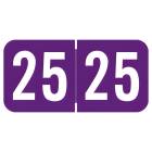 2025 Year Labels - Sav-Tyme Compatible STYM Series - Size 3/4" H x 1 1/2" W