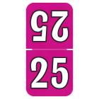 2025 Top-Tab Year Labels - Colwell Compatible TCYM Series - Size 1 1/2" H x 3/4" W