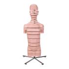 MRI Torso 15 Transverse Sections - 3B Smart Anatomy
