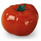 Life/form Tomato Food Replica - Whole