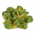 Life/form Broccoli Food Replica - 1 cup (240 ml)