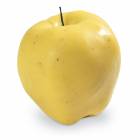 Life/form Apple Food Replica - Golden Delicious