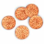 Life/form Crackers Food Replica - Whole Wheat