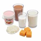 Life/form Basic Dairy Food Replica Kit