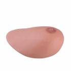 Replacement Breast For P125 Sonotrain Breast Model With Tumours
